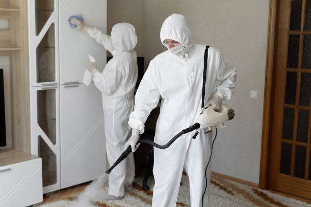 Certified Mold Removal in Country Club Hills, MO